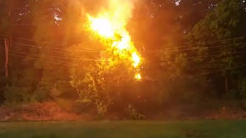 Tree electrical explosion