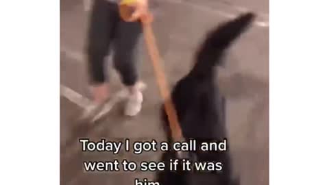 Found his dog after 3 months