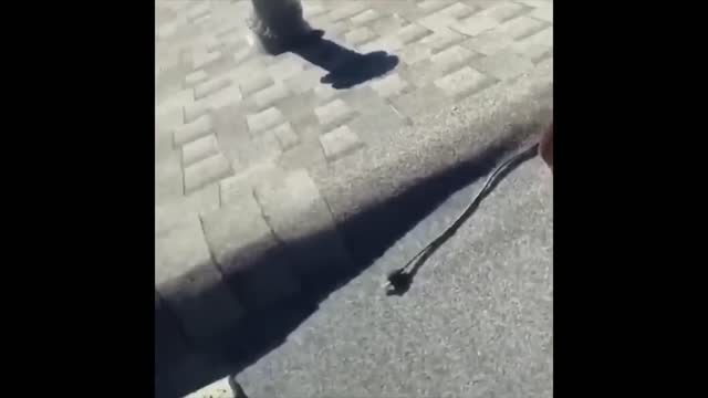 UNUSUAL MEMES COMPILATION