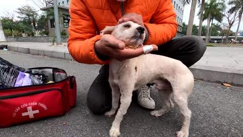 Rescuing abandon cute dog