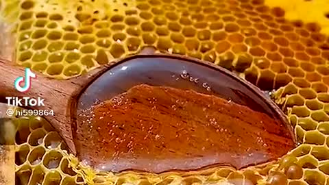 Amazing Viral Honey Video