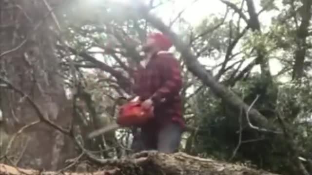 BE CAREFUL WITH TREE CUTTING...😱 😨