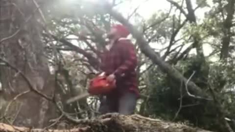 BE CAREFUL WITH TREE CUTTING...😱 😨