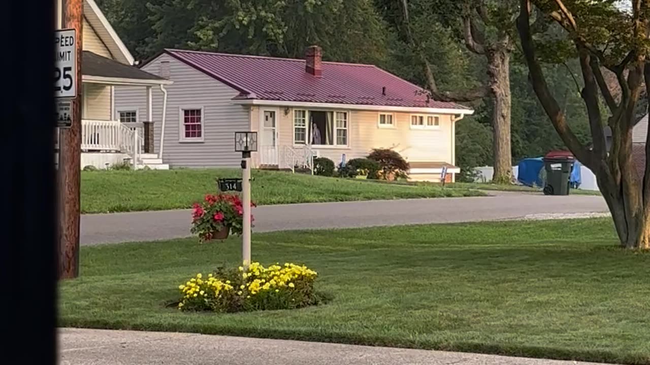 Danny DeVito Cutout Watches the Neighborhood