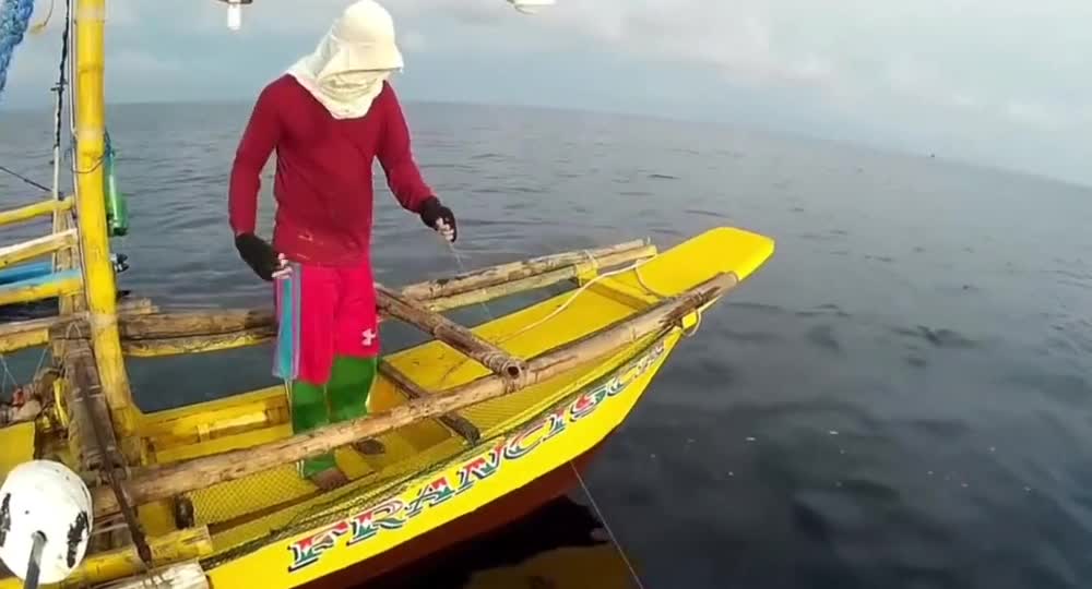 Giant squid, about the size of an adult, bites in deep sea fishing in Peru