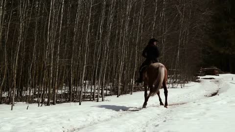 female cowboy rides a horse at a gallop in winter