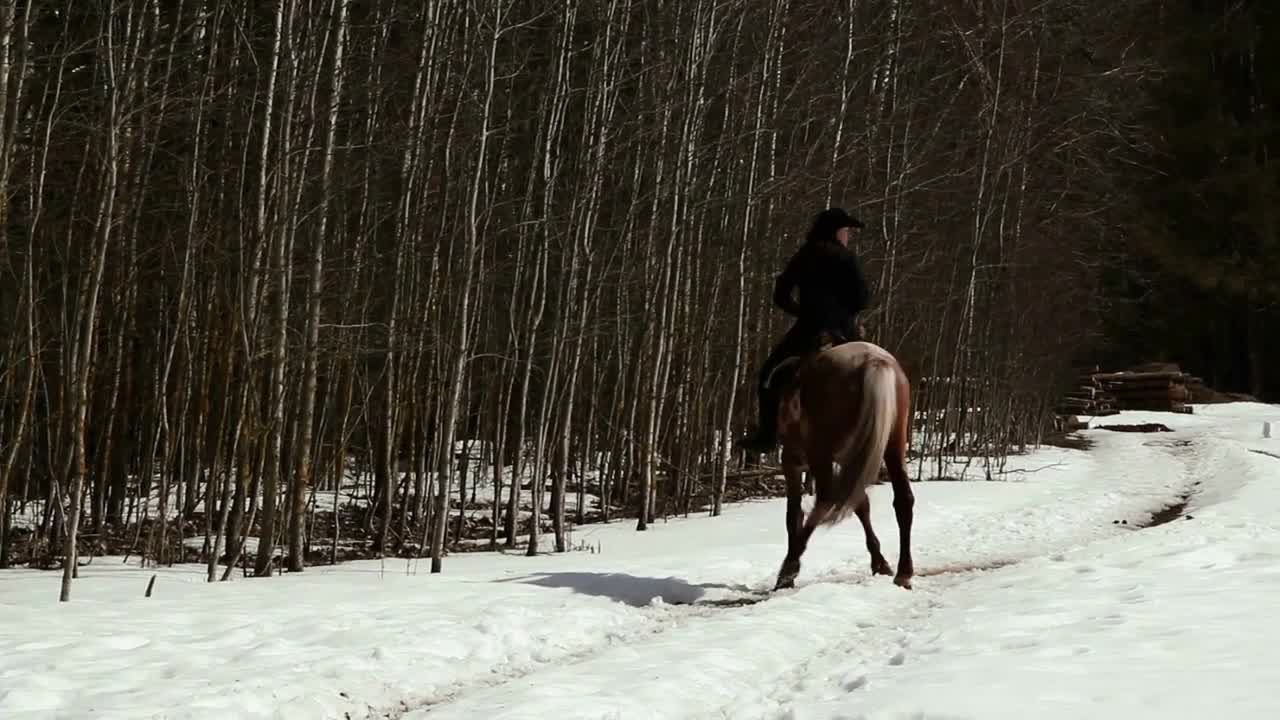 female cowboy rides a horse at a gallop in winter