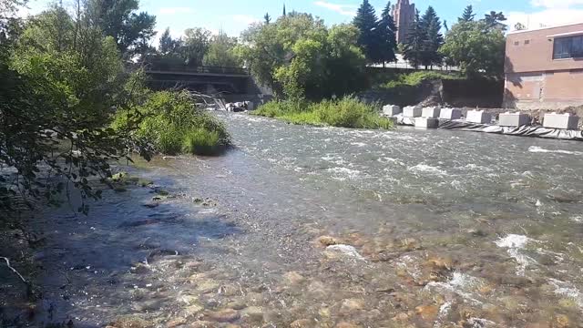 Downtown Calgary albow river