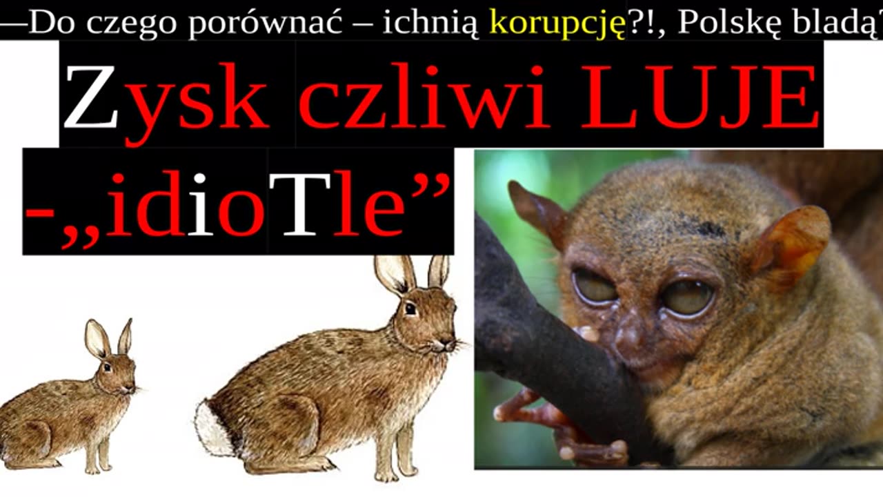 Zyskczliwi•LUJE|▶KITstorie Polaków:Bieda=Wieś•Lenie•Głupi•Psycho÷Masochizm(÷GOGólnie RUINA KORUPCJI)