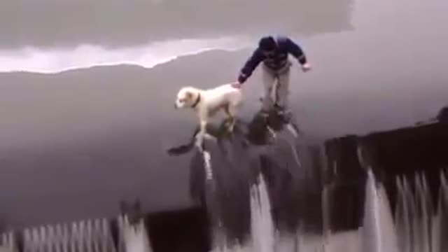 Man Helps A Dog That Is In Great Danger