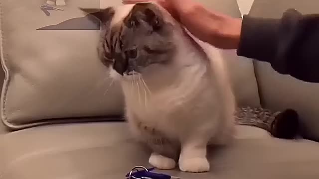 You won't give me the keys