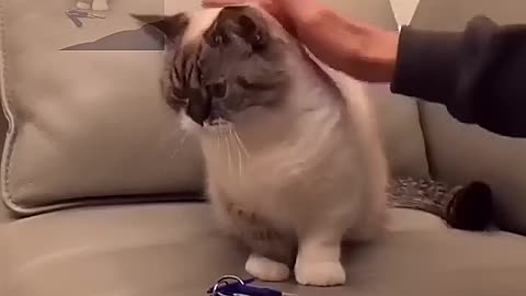 You won't give me the keys