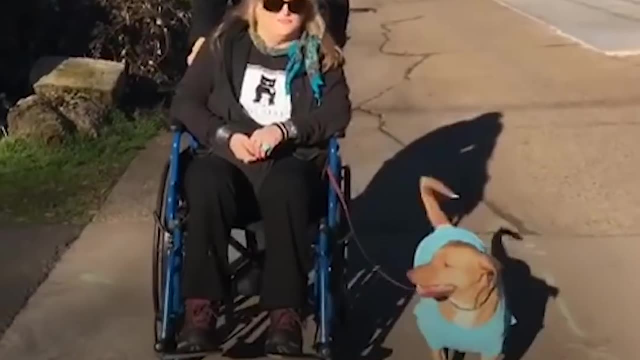 Picasso the Dog Teaches Everyone It's OK To Be Different | The Dodo