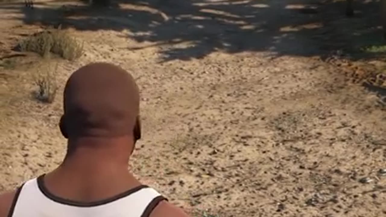 CURIOSIDODES DE GTA 5 PART #28