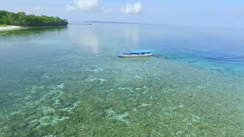 WAKATOBI ISLANDS. The Most Beautiful Underwater Destinations.