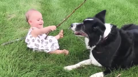 Dogs are the best friend of Babies 06