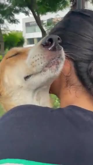 Every dog needs a hug ☺️☺️☺️☺️