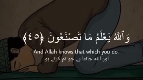 BEAUTIFULL QURAN AYAT