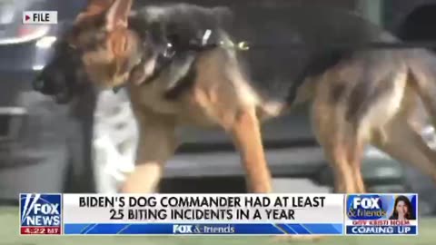 Joe Biden couldn’t control Hunter how he gonna control a dog