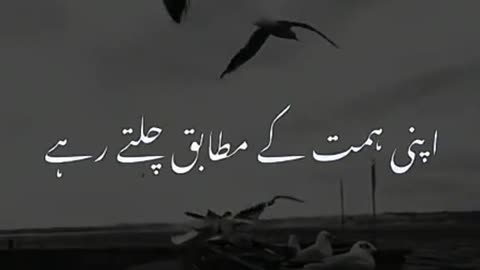 dr israr ahmad official, 3 important advices to dr. israr ahmed, dr israr ahmad ka bayan