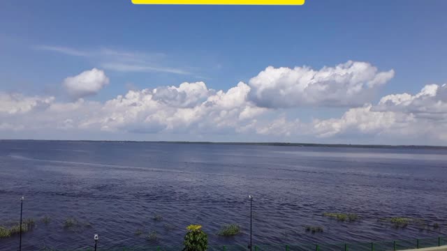 shore over the black river in manaus