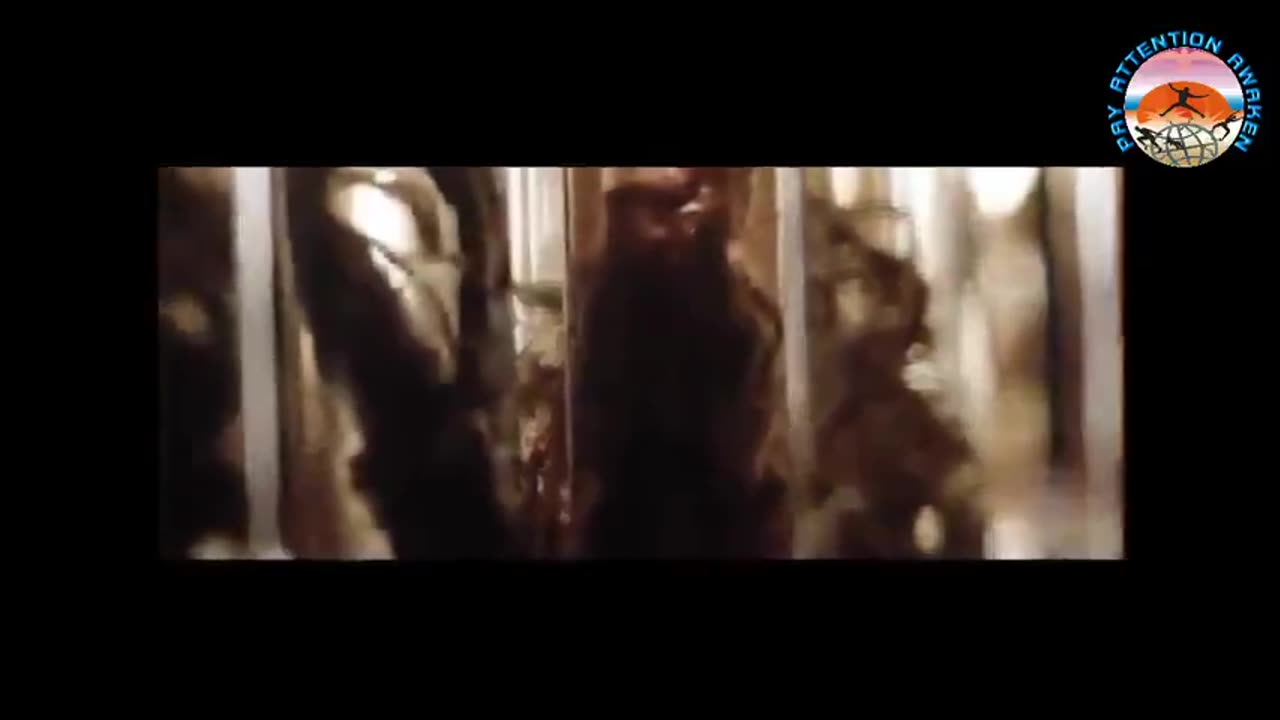 S.A.D.S.