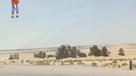 Saudi fine desert