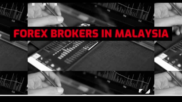 Best MT5 Forex Brokers In Malaysia - Forex Trading | Loginuncle.org