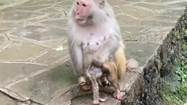 Sad, his mother thought he was still aliveđź’”