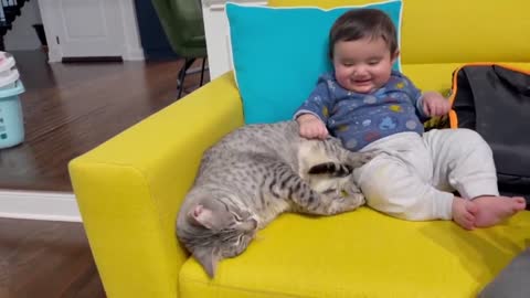 second part of pets and baby funny videos