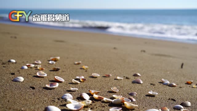 一起...經過 [176] 誰的子孫？ 2022年2月17日