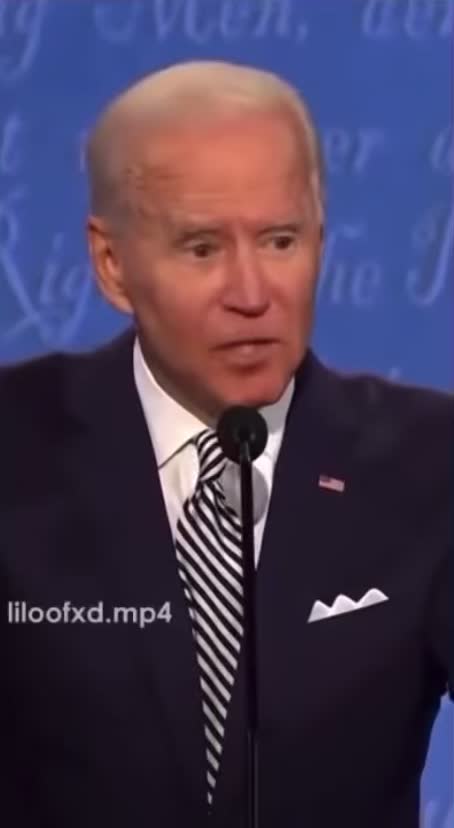 A cat at the presidential debate