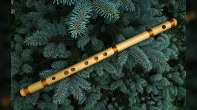 Flute music! Nature love video