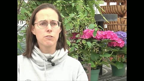 Spring Gardening Tips