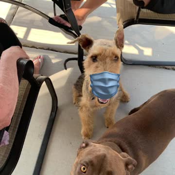 Masks don’t work worthless