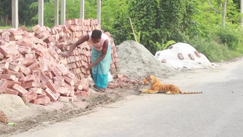 "Witness the Crazy Public Reactions in Grandpa's Fake Tiger Prank!"