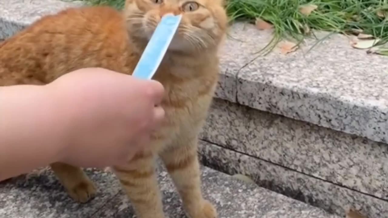 When they give you something delicious during a fight