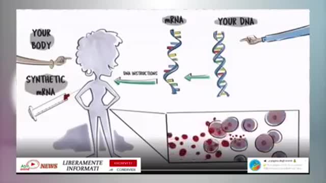 Il più grande esperimento di MASSA mai fatto sull'Uomo