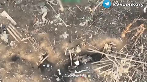 Massacre Near Rabotino, The Area Covered With The Corpses And Equipments Of Ukrainians