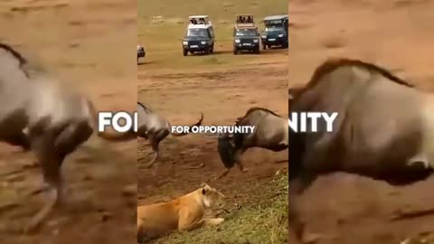 Sigma rule 😎🔥 I WhatsApp status I Motivational quotes #shorts #attitude #sigmarule
