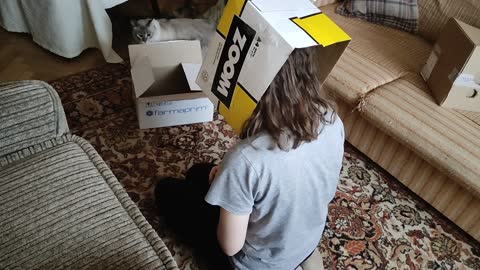 My mistress with a box on her head! WHAT TO DO?