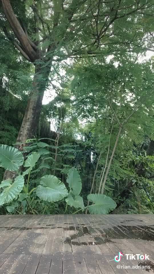 Fly high-sky is the limit