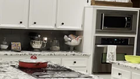 Hailstorm Bursts through Kitchen Skylight