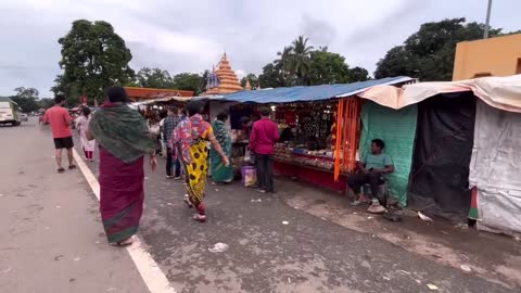 Aji Keounjhar Jungle Chhatu Pura Deshi Pura Mohu-7