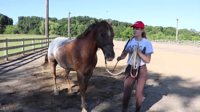 HORSE RIDING