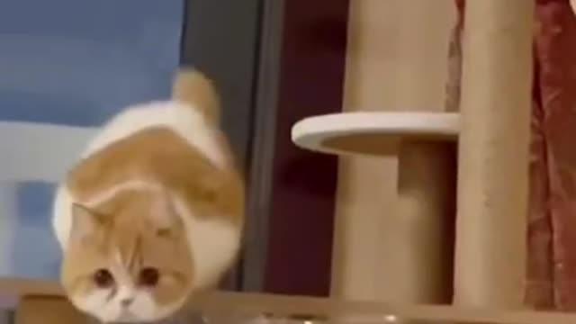 Funny Video Million Views 😂 || Remember To Subscribe ❤️❤️ || #Shorts