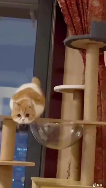 Funny Video Million Views 😂 || Remember To Subscribe ❤️❤️ || #Shorts