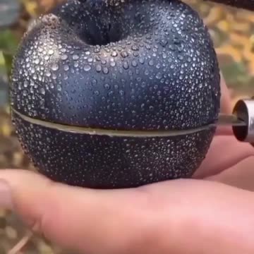 Shorts Video #shorts #funny #shortsvideo #viralshortsvideo #newshortsvideo #newshorts #funnyshorts