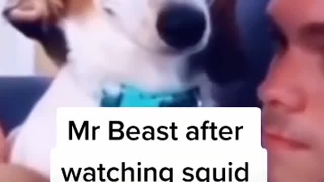 Mr. Beast after watching squid game