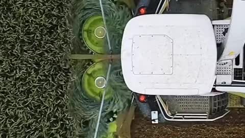 Most satisfying machines works